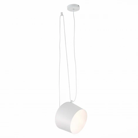 Подвесной светильник Evoluce Trieste SLE120653-01 (220V)