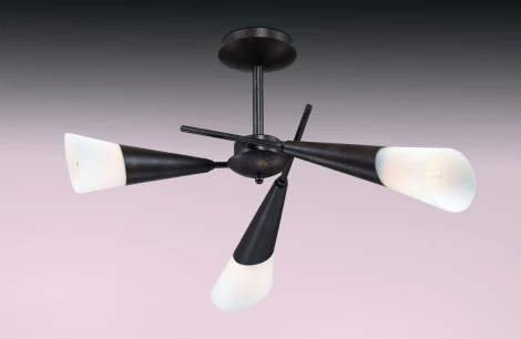 Потолочная люстра Odeon Light Evans 2464/3C