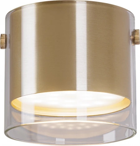 Накладной светильник Arte Lamp Lazio A5366PL-1SG (220V, круглые)