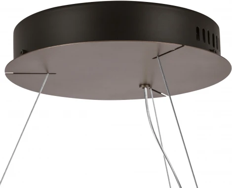 Подвесной светильник Lightstar Faraone 701181 (LED, 220V, хрусталь, на тросе, кольцо)