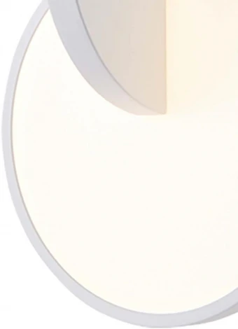 Подвесной светильник F-Promo Grahan 4610-1P (LED, 220V, на проводе, круглые)