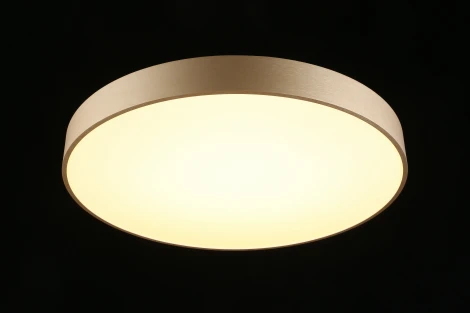 Потолочный светильник Virzhini APL.023.07.68