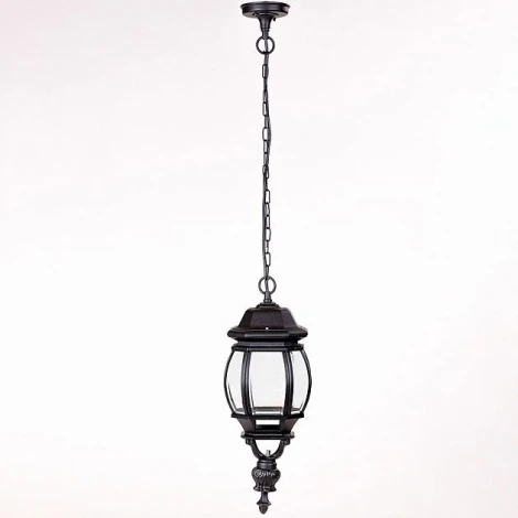 Уличный светильник подвесной Oasis Light 83405L Bl (220V, на цепи, IP44)