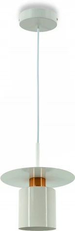 Подвесной светильник Lightera Onitsha LE144L-21W (220V, на проводе, круглые)