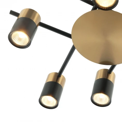 Потолочная люстра Favourite Topper 2825-8P (220V)