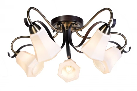 Потолочная люстра Silver Light Merely 225.59.5