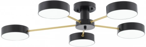 Потолочная люстра светодиодная на штанге Arte Milano Ferrara 252006/5 Bk/Bk (220V, круглые)