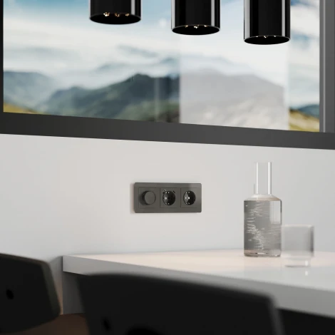 Диммер (графит акрил) Werkel W1142044 (a064094)