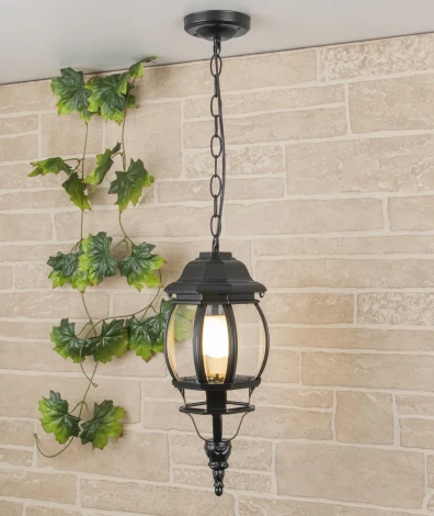 Уличный светильник подвесной Elektrostandard Farola GL 1001H черный