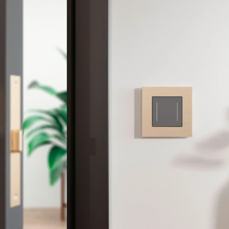 Рамка на 1 пост (шампань) Werkel W0013511 (a066333)