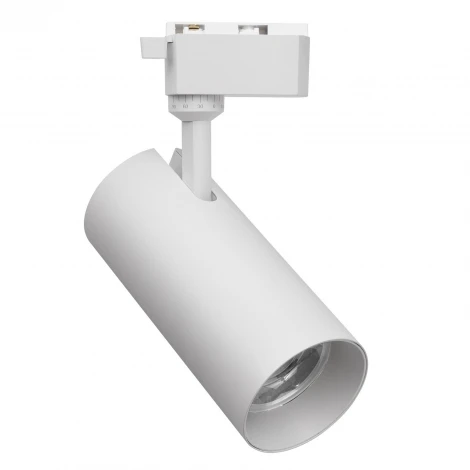 Трековый светильник однофазный светодиодный Favourite Practica 4866-1U LEDx10/20/30W 220V 853/1391/2032LM 3000-6000K