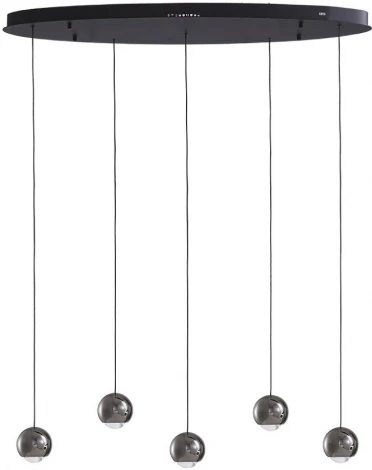 Подвесной светильник Lumien Hall Danay LH8027/5P-BK-PBK