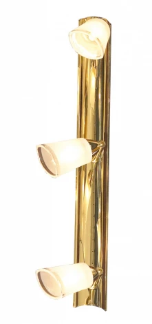 Настенно-потолочный светильник Lussole Rasen LSL-5001-03