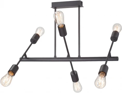 Потолочная люстра на штанге V3010-1/6PL Vitaluce (220V)