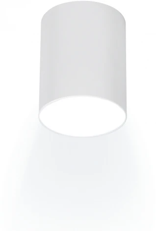 Накладной светильник Ritter Arton 59976 0