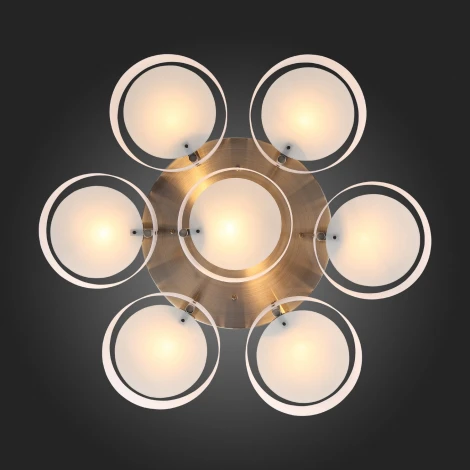 Потолочная люстра ST Luce Foresta SL483.352.07