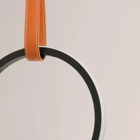 Подвесной светильник DeMarkt Ральф 675015901 (LED, 220V, на проводе, кольцо)