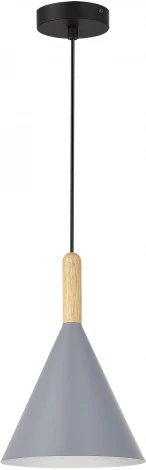 Светильник подвесной Evoluce Arket SLE1255-423-01 Черный/Серый E27 1*40W (220V, на проводе)