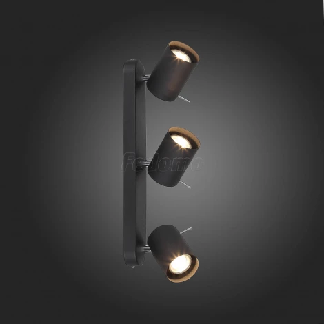 Спот ST Luce Fanale SL597.401.03 (220V, круглые)