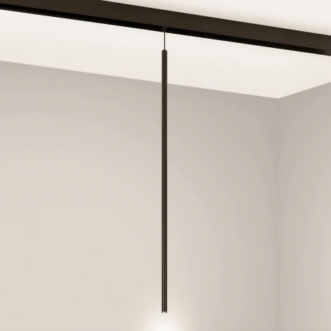 светильник магнитный MAG-ORIENT-SPOT-HANG-L600-R12-2W Warm3000 (BK, 20 deg, 48V) (Arlight, IP20 Металл) 044502