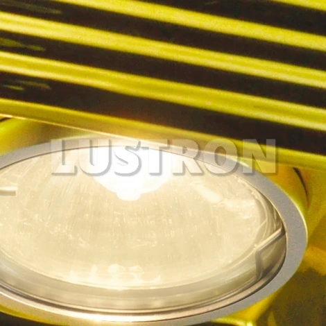 Встраиваемый точечный светильник Arte Lamp Alloro A5249PL-1GO