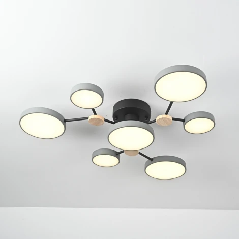 Потолочная люстра с пультом на штанге LED Lu Carte LC-11-1717