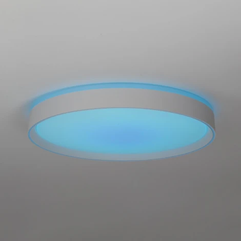 Потолочный светильник RGB круглый Citilux Boss CL751450G (LED, 220V, круглые)