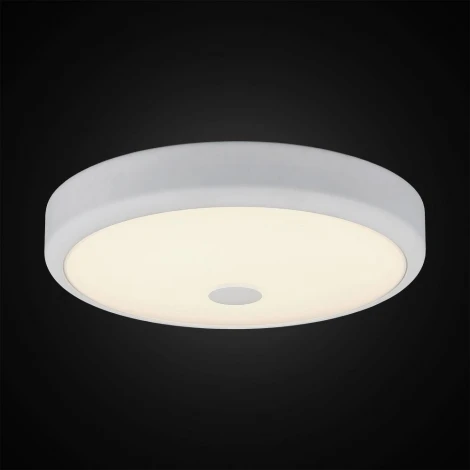 Настенно-потолочный светильник Citilux Фостер-1 CL706130