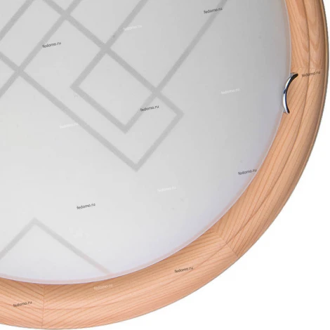 Настенно-потолочный светильник Toplight Debora TL9540Y-00PN