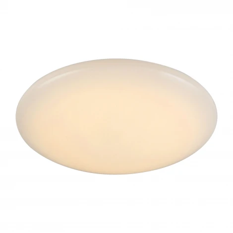 Настенно-потолочный светильник ST Luce Liscio SL875.332.01