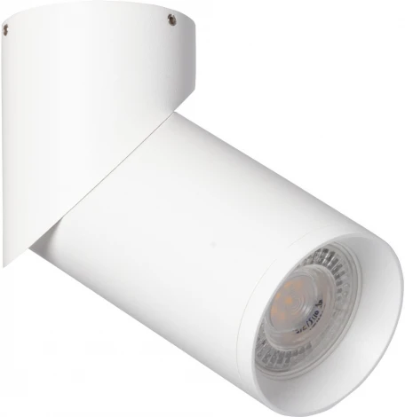 Спот DeMarkt Прайм 850011301 (220V, круглые)