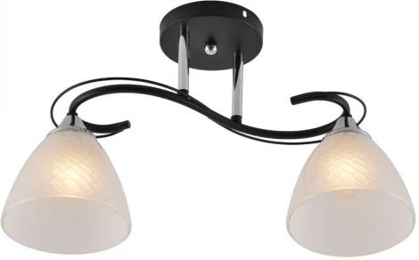 Потолочная люстра на штанге Seven Fires Nuala SF3372/2C-BK-CR-WT