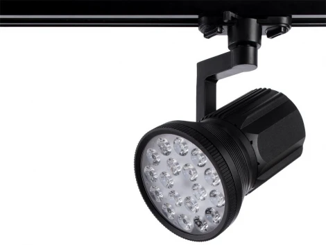 Трековый светильник Arte Lamp Pianta A6118PL-1BK