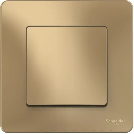 Выключатель встраиваемый одноклавишный (титан) Systeme Electric Blanca BLNVS010604