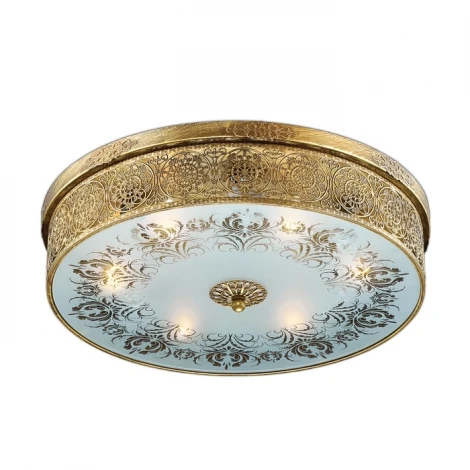 Потолочный светильник Odeon Light Aster 2782/6C