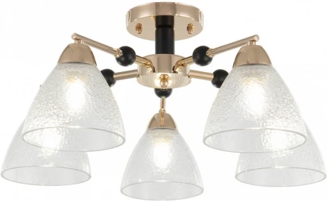 Потолочная люстра на штанге Arte Milano Napoli 324119/5 FG+BK (220V)