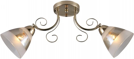 Потолочная люстра Ritter Modena 52544 8