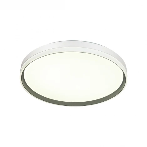 Настенно-потолочный светильник Sonex Savi 7631/DLN пластик/светло-серый LED 48Вт 3000/4000/6000K