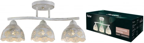 Потолочная люстра на штанге Ritter Ravenna 52515 8