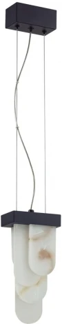 Подвесной светильник Odeon Light Foros 5438/12L черный/металл/ смола под алебастр /акрил LED 12W 3000K (220V, на тросе)