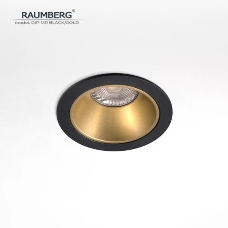 Встраиваемый светильник Raumberg DIP MR Black/Gold