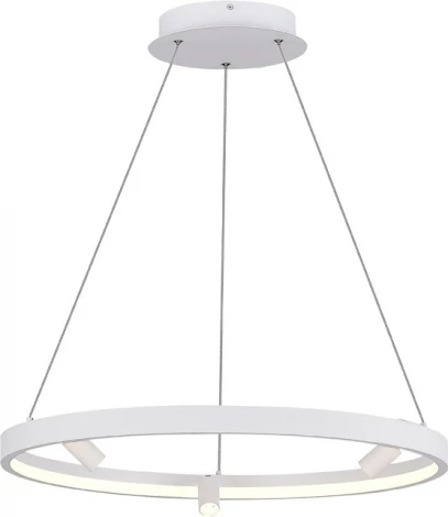 Подвесной светильник со спотами Donolux Aura Spot S18866R30W1W600 (LED, 220V, на тросе, круглые)