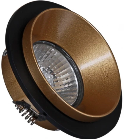 Встраиваемый точечный светильник Reluce 51611-9.0-001MN MR16 BK+GD (220V, круглые)