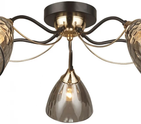 Потолочная люстра Wedo Light Livorno 66659.01.15.05