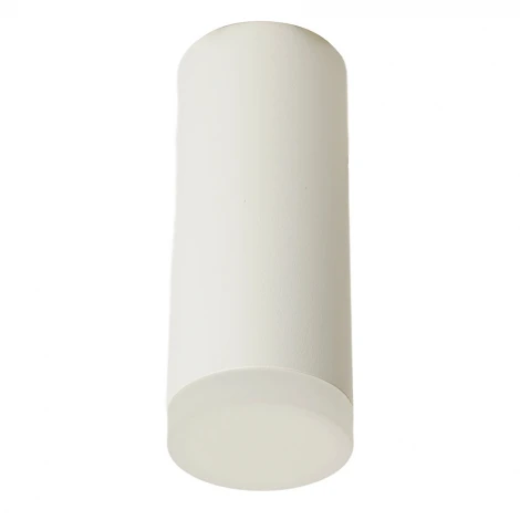 Светильник потолочный накладной Feron ML102 51389