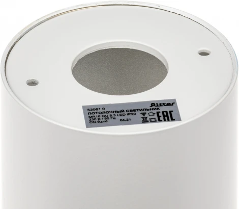 Накладной светильник Ritter Essen 52061 0