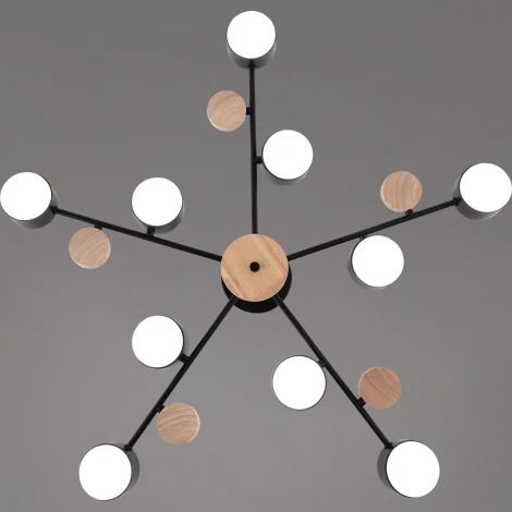 Потолочная люстра на штанге Reluce 03758-0.3-10 BK+WOOD GX53