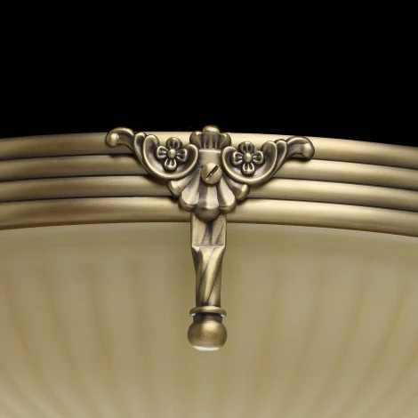 Потолочный светильник круглый MW-Light Афродита 317011202 (220V)