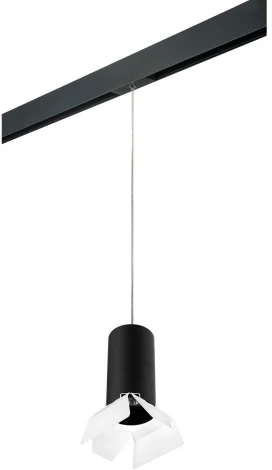 Трековый светильник однофазный 220V Lightstar Rullo PRORP6487486