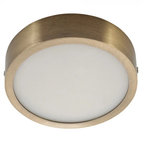 Точечный светильник светодиодный AM Group AM294 AM294 12W AB 3000K R (220V, круглые)